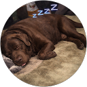 Lisa Faulkner profile picture